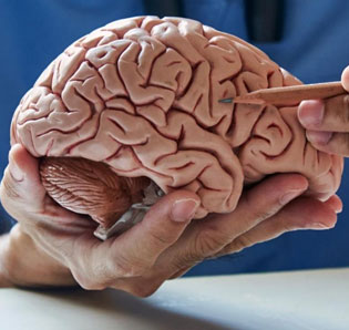 Neurology Specialist Pune