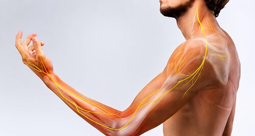 Best Nerve and Muscle Disorder in Hadapsar Pune